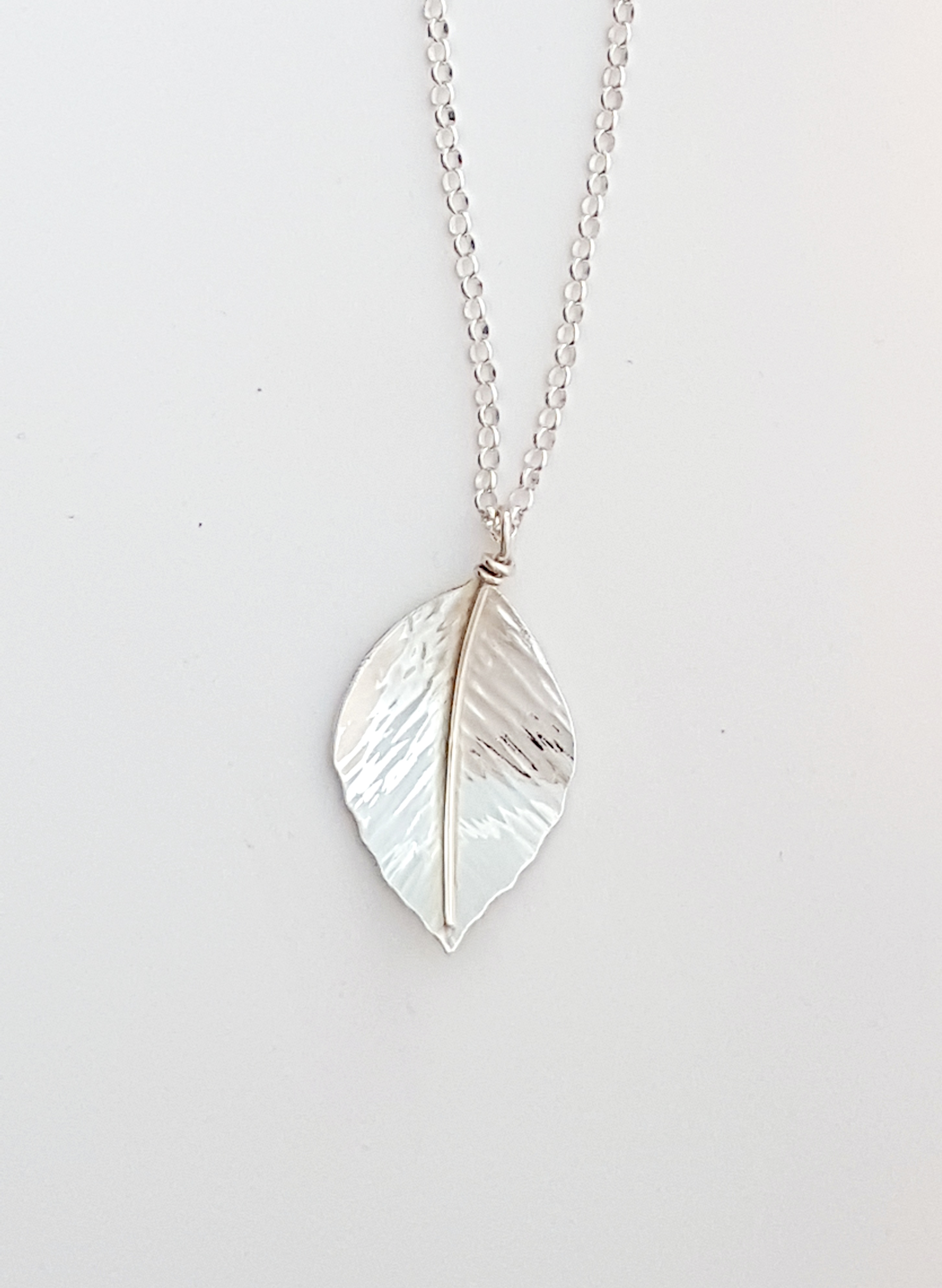 Zoomed out Photo of Silver Beech Pendant