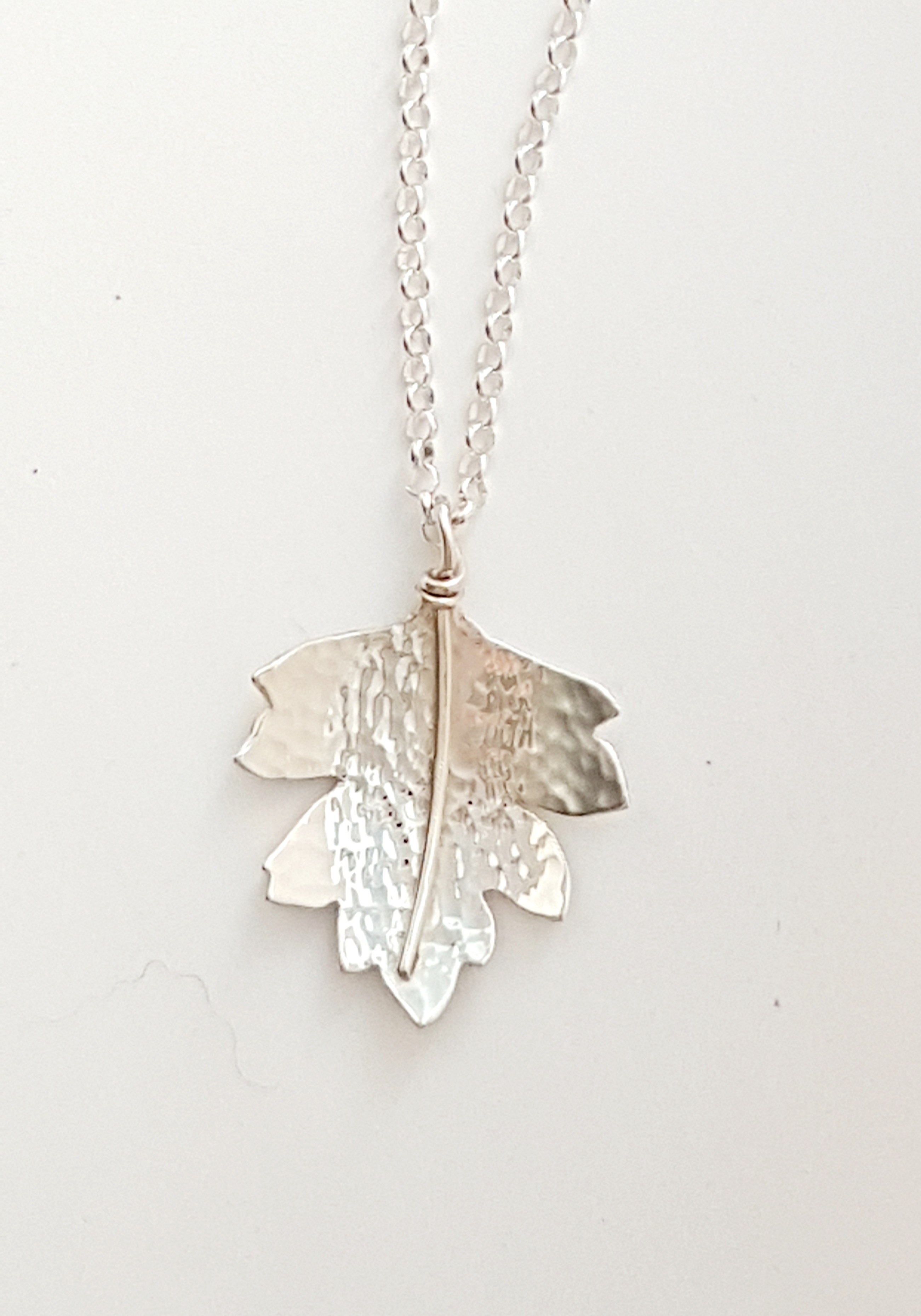Zoomed out Photo of Silver Hawthorn Pendant