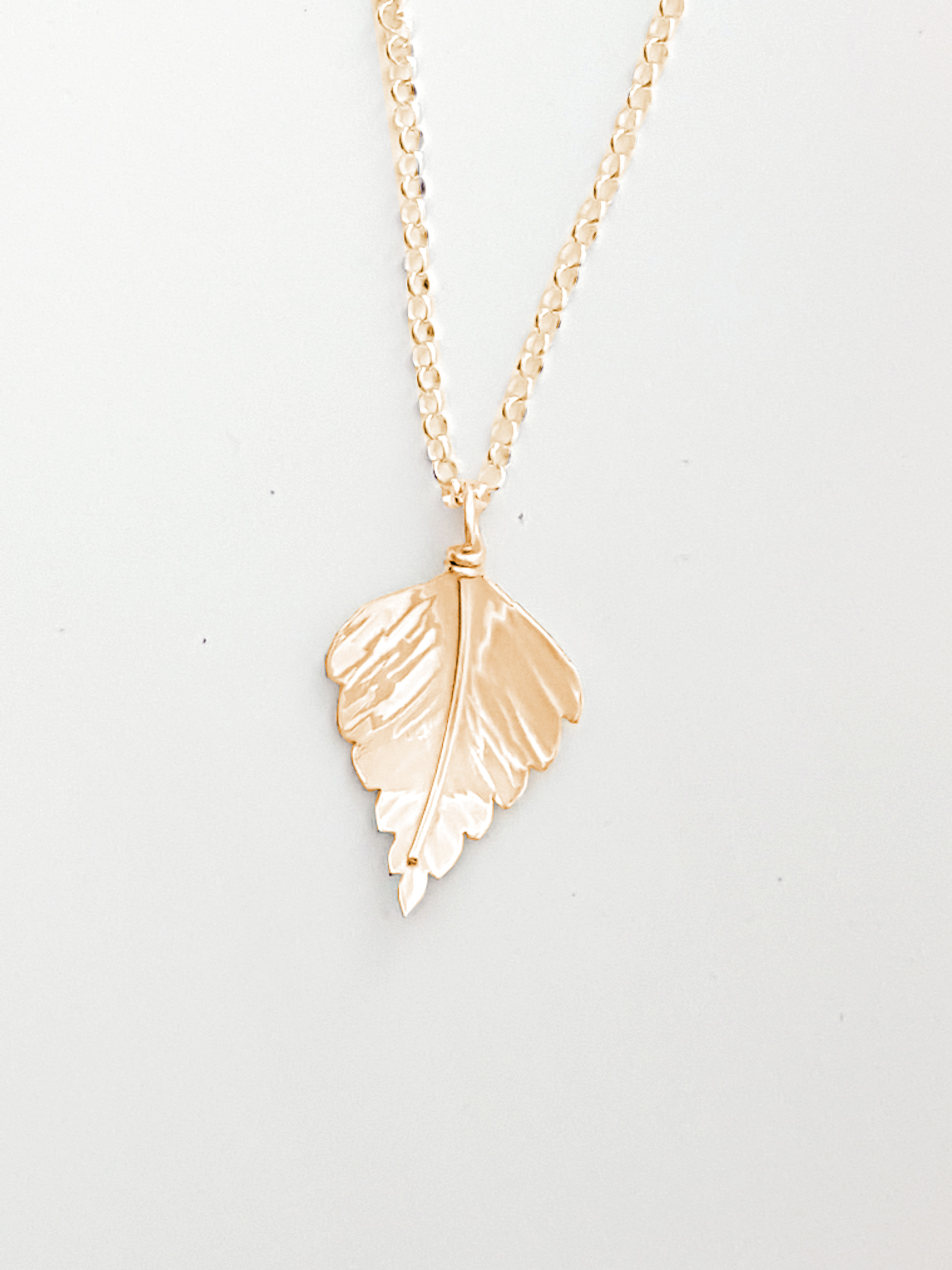 Zoomed out Photo of Small Rose Gold, Silver Birch Pendant
