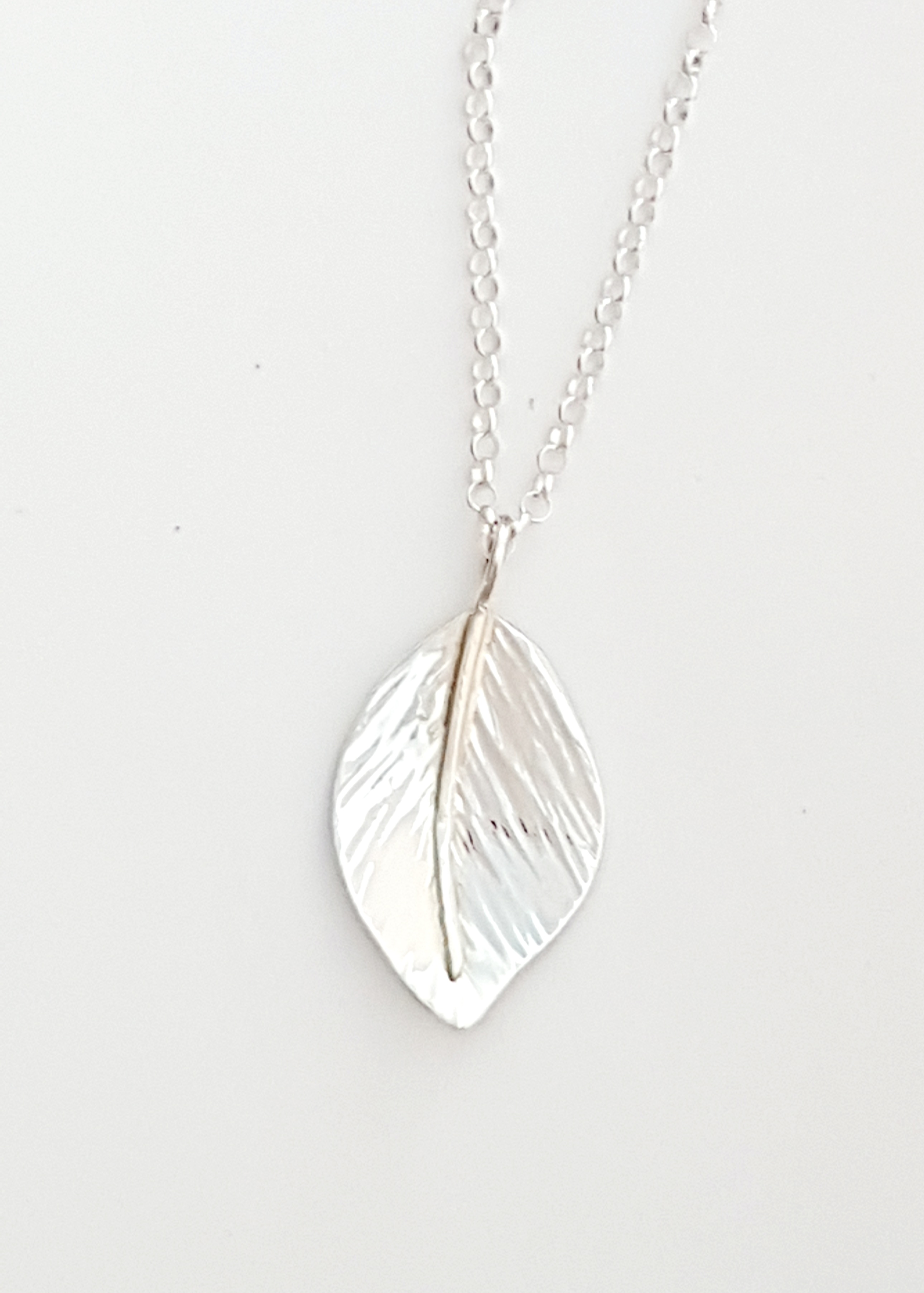 Zoomed out Photo of Silver Wild Apple Pendant
